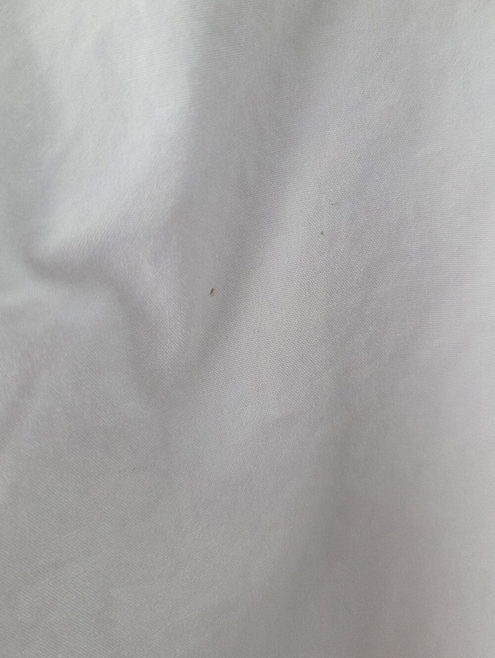 LESET Kyoto Carpenter Pant White - Picture 8 of 8